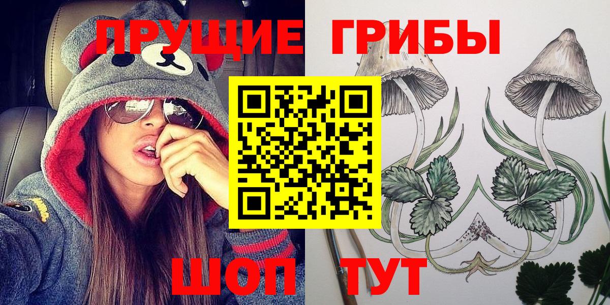 Пугачёв  Псилоцибиновые грибы GOLDEN TEACHER  Вход с VPN  Псилоцибиновые грибы Magic Shrooms 