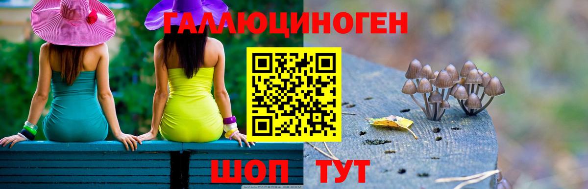 Псилоцибиновые грибы Psilocybe Пугачёв
